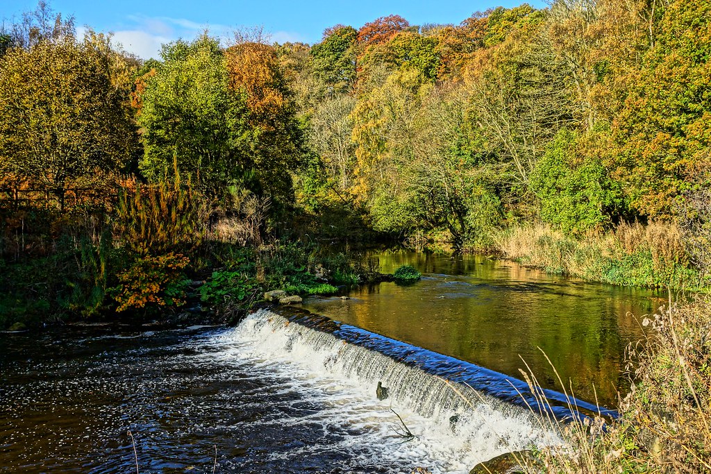 Wear at Derwenthaugh Park